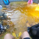 아산온천로 | 아산여행 파라다이스 스파 도고 내돈내산 방문후기