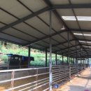 행복한흑염소농장 이미지