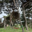 맛좋은 홍동식당 | 홍동에 가면 맛좋은 홍동식당