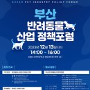 신은영헤어 이미지
