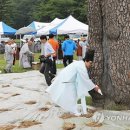 천수자원 티스토리