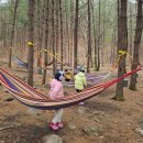 큰삼촌농촌체험마을 이미지