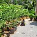 약대근린공원경로당 이미지