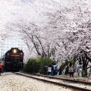 역사문화관광공원 쉼터 이미지