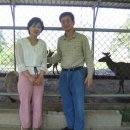 현숙농장 이미지