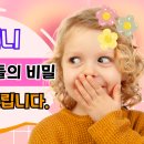 강남언니 티스토리