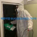 벅스코(BUGSCO)