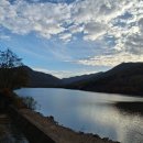 시티원부동산공인중개사사무소 이미지