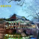 진정한 자비(慈悲)란 이미지