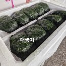 내몸케어연구소 이미지