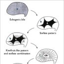 한가람동물의료센터 이미지