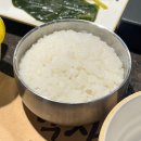 [공지] 영등포구청 맛집 약산돼지 내돈내산 후기│당산 고기집, 직접 구워주는 프리미엄 삼겹살