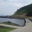 크로커다일제주