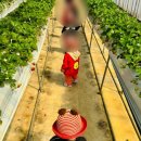 충주어린이집 이미지