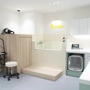 옐레드 애견유치원&애견호텔 부산용호점 이미지