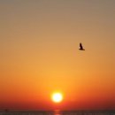 구로-구로-구로-844 이미지