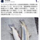 서울교대 사거리 이미지