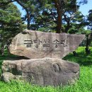 송림(松林) 이미지