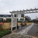 협재블리스 이미지