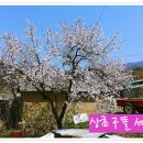 여난농장 이미지