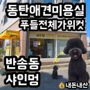 샤인멍 이미지