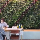 사계절가든 이미지