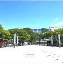 해남군청 Daum카페