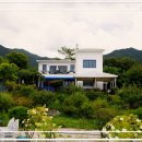 고양이 생활 호텔 이미지