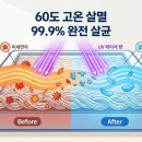 매트리스 속 불청객 좀벌레, 전문가가 알려주는 60도 살균 비법