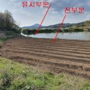 봉동초등학교양화분교장 이미지