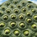 여문2로R 이미지