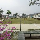 바다사랑 펜션 이미지