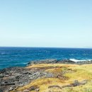 팔도민박 이미지