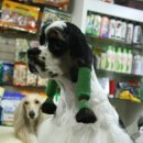 짱아미용실 이미지