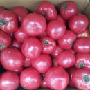 영준 농장 이미지