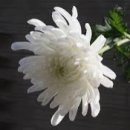 반석종합사회복지관 이미지