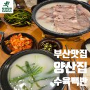 백반집 | 부산 깡통시장 양산집 수육백반 후기, 현지인 추천 국밥 맛집 인정