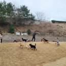 오후3시 이미지