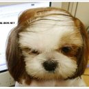 복