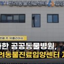 서울동물심장병원 이미지