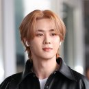 브이 이미지
