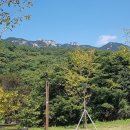 에코야영장 이미지