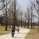 여주-0418 이미지
