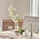 스튜디오 인 이미지