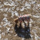 누리마당민박 이미지