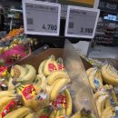 고산지 | 감숙왕 고산지 바나나 후기｜달콤함과 단단한 식감이 좋았던 선택