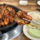 신선생쭈꾸미
