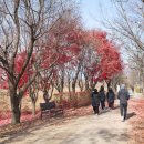 당정근린공원-추가 | 하남 당정근린공원