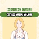 경기도 부천시 송내동 교정치과 총정리