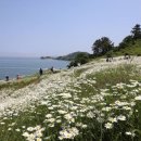 마실길 쿠키뉴스